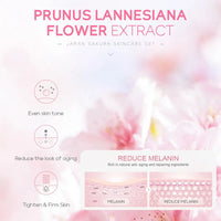 Sakura skin care sets with cleanser, serum, eye cream, facial cream, beauty products for women, travel skin care kit
