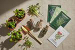 Plants & Seeds